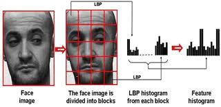 Driver Drowsiness Detection